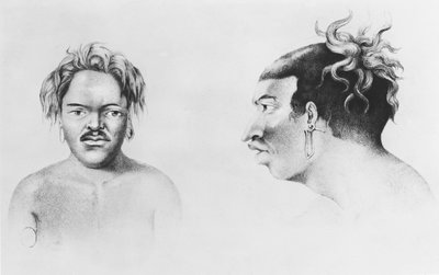 Types of Islanders, illustration from Voyage au Pole Sud et dans l